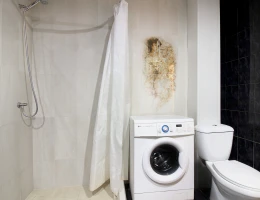 #116 Частный дом – улица Геворга Джаукяна, Ереван