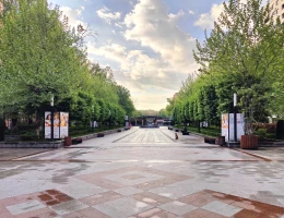 #203 Квартира – улица Арама, Ереван