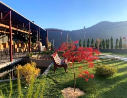 Հովեր Բուտիկ հյուրանոց