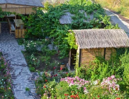 Մինա հյուրանոց