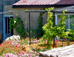 Մինա հյուրանոց