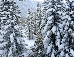 Ջերմուկ Մոսկվա Ռեզորթ հյուրանոց