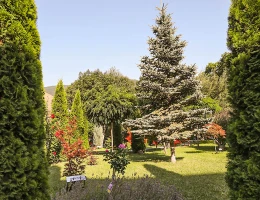 Բեսթ Ռեզորթ Աղվերան հյուրանոց