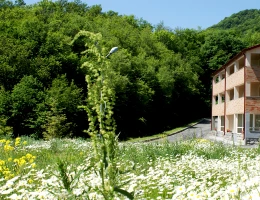 Tsaghkahovit hotel