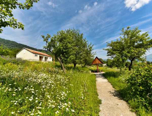 Odzun hotel